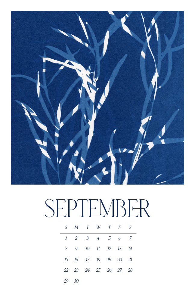 2024 Wall Calendar