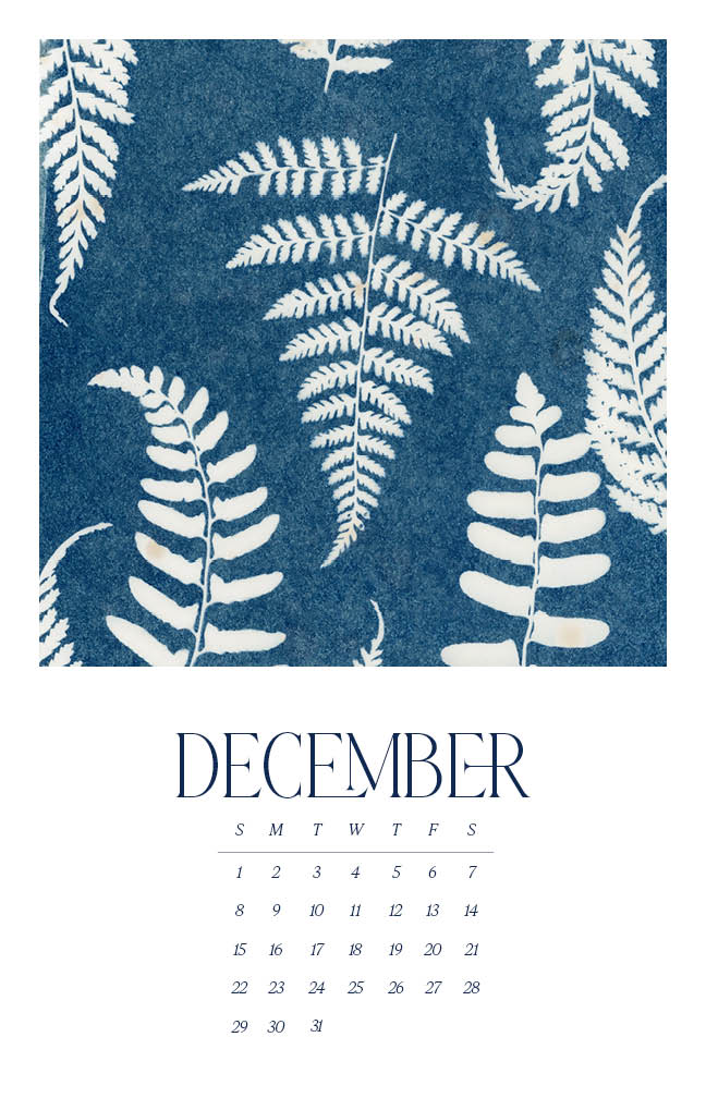 2024 Wall Calendar