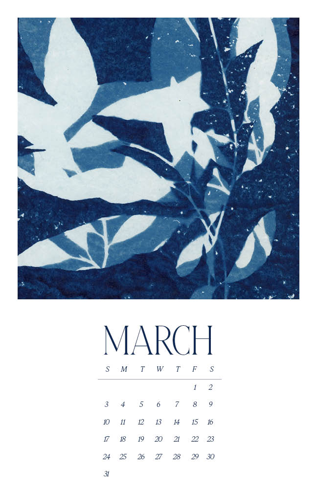 2024 Wall Calendar