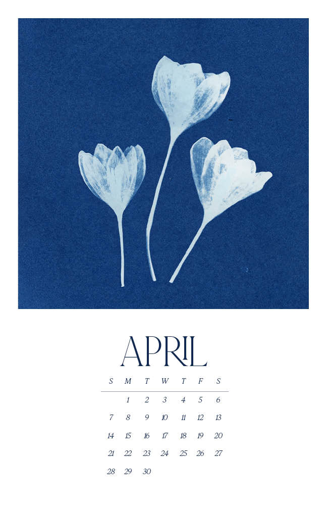 2024 Wall Calendar