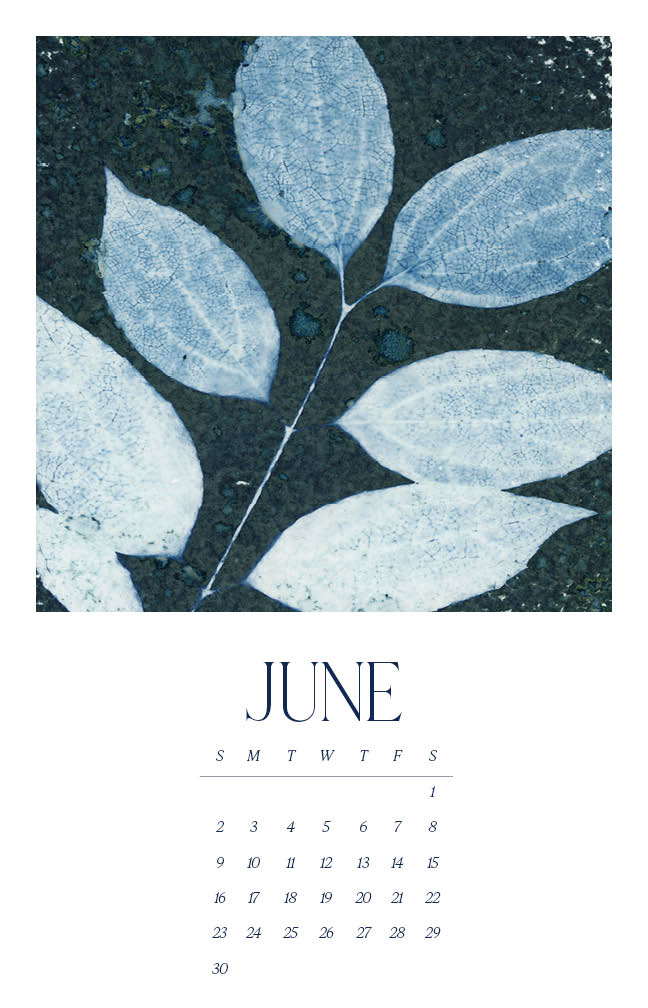 2024 Wall Calendar