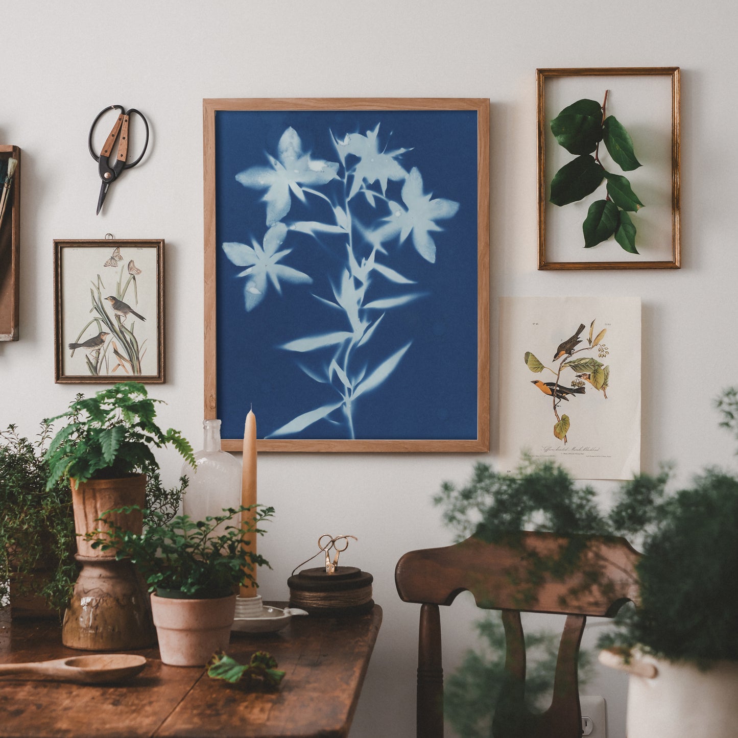 Alaskan Fireweed