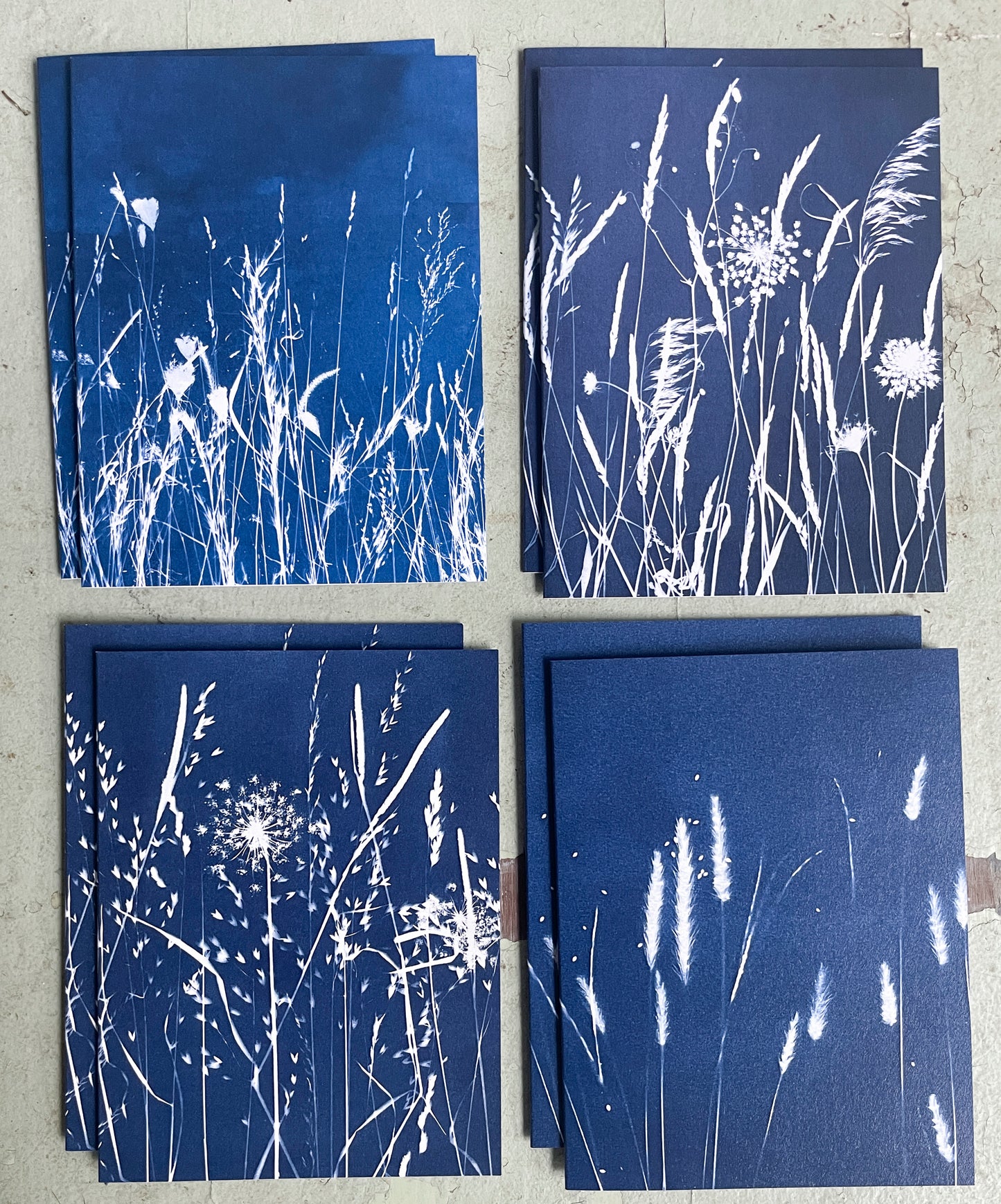 Field Series Boxed Set - Greeting Cards