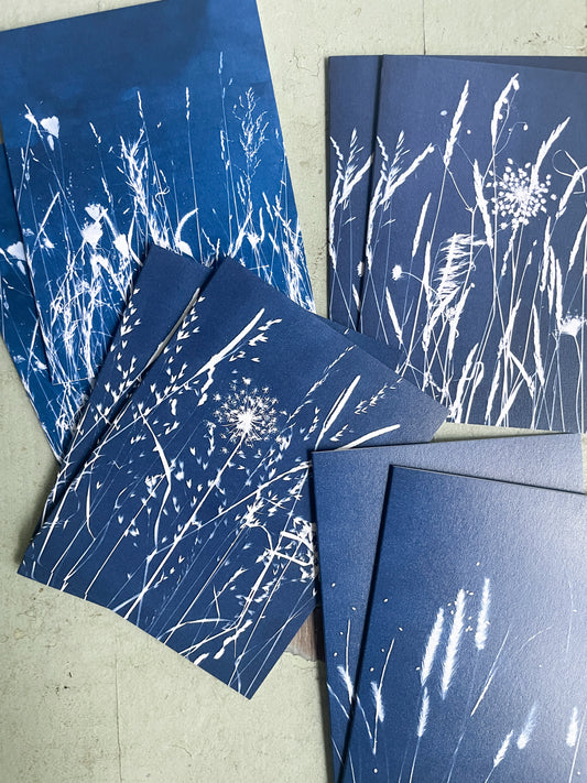 Field Series Boxed Set - Greeting Cards