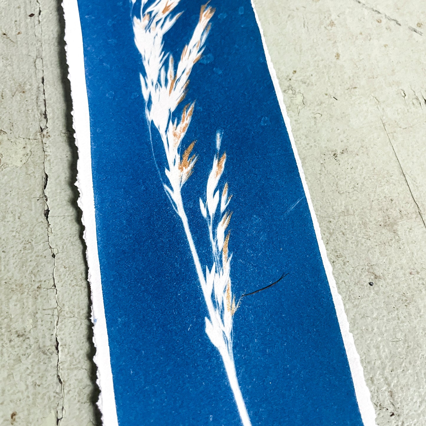 Glitter on the Edge