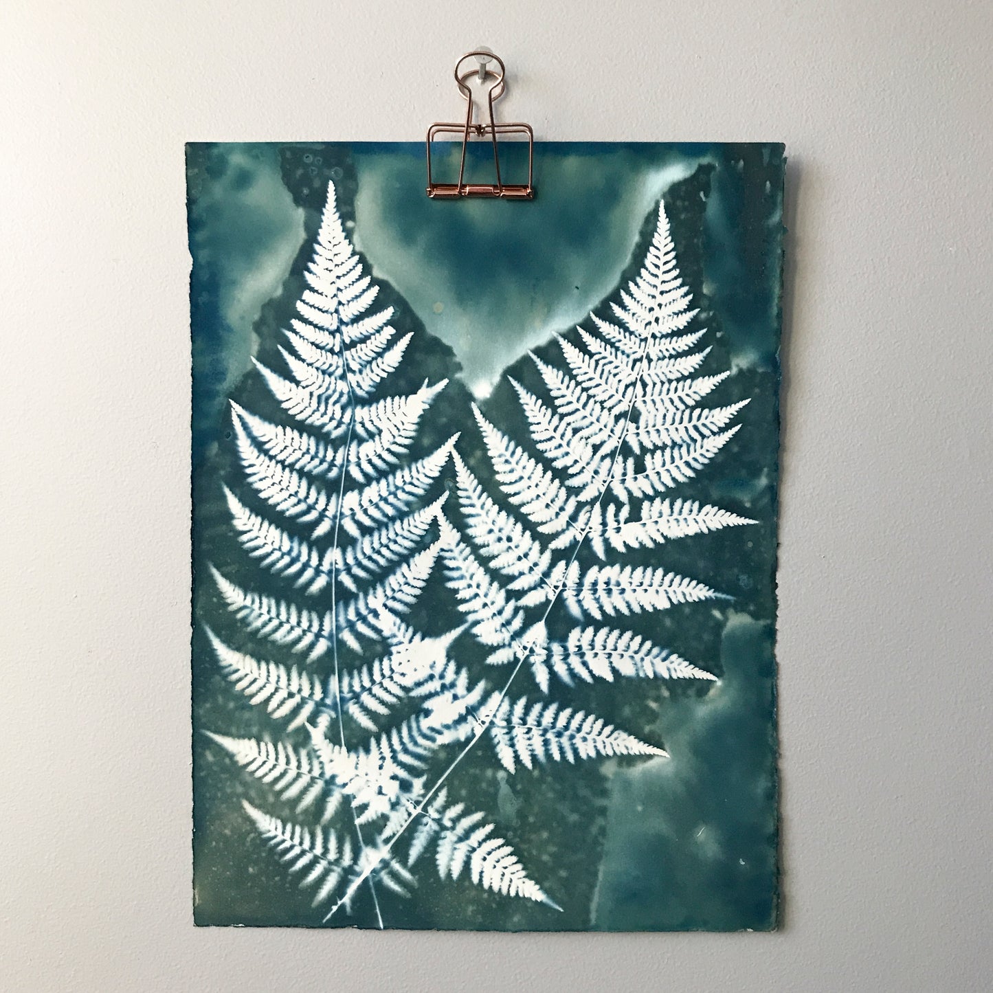 June 13 - Advanced Cyanotype Workshop