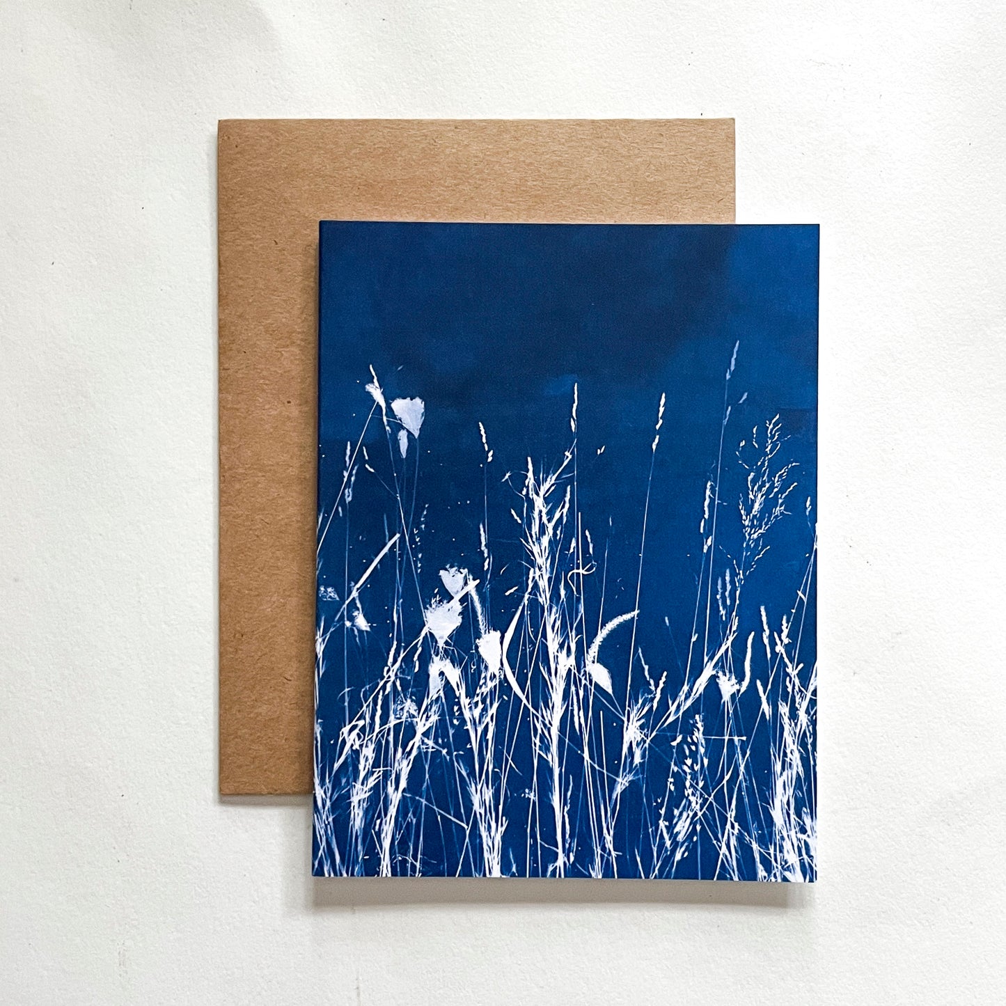 Field Series Boxed Set - Greeting Cards