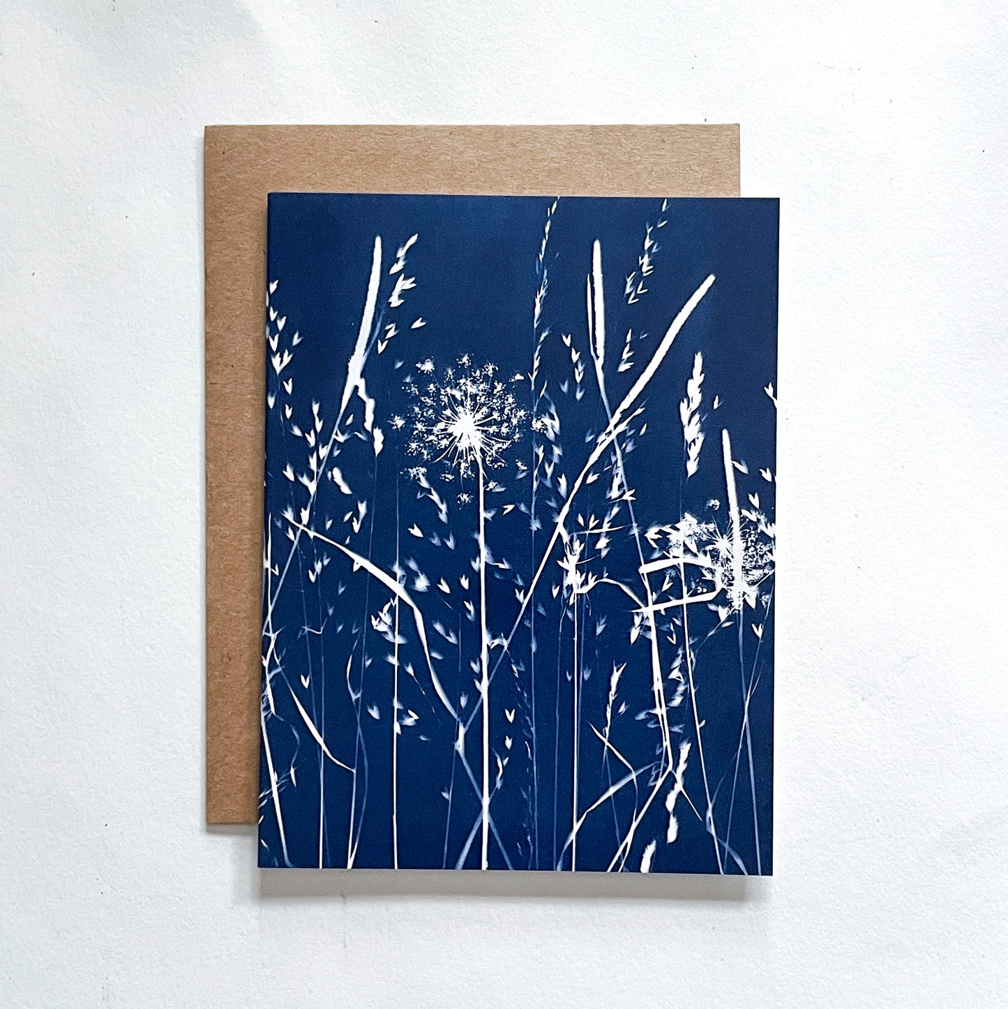 Field Series Boxed Set - Greeting Cards