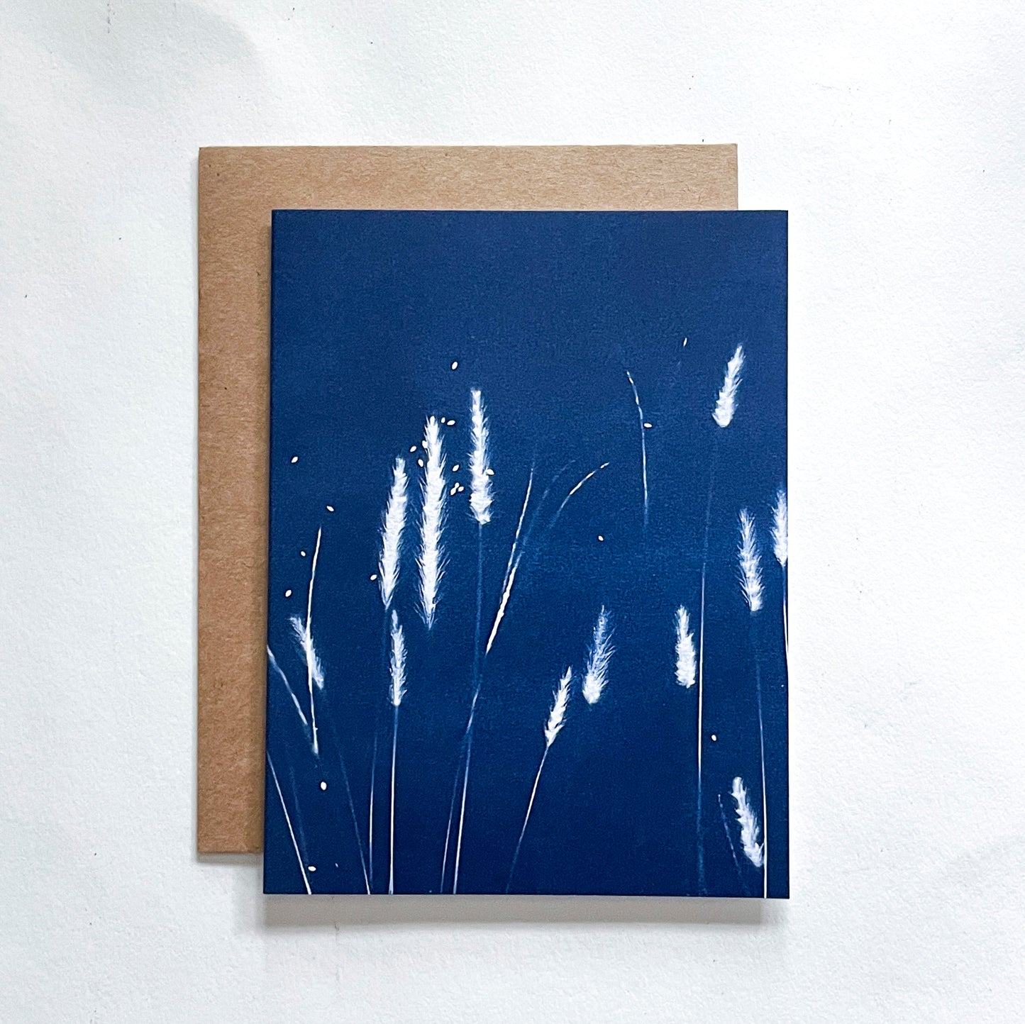 Field Series Boxed Set - Greeting Cards