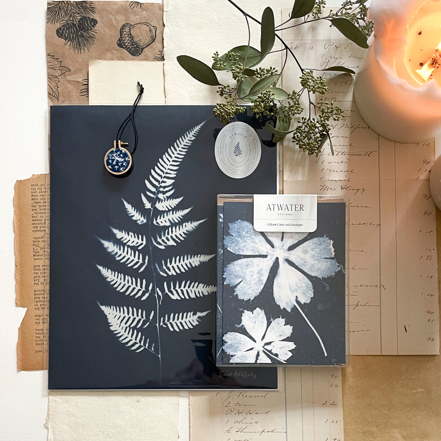 The Botanist's Box