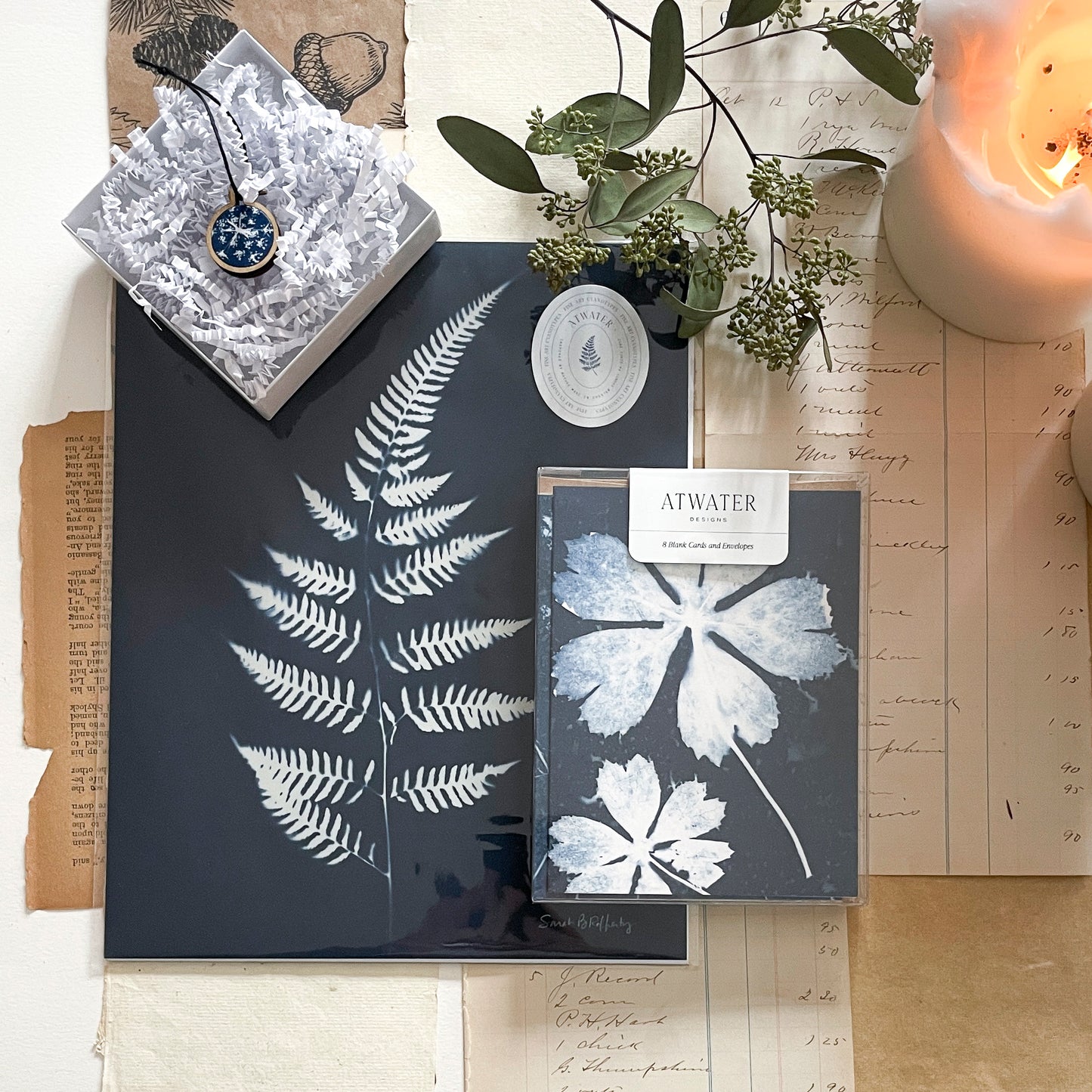The Botanist's Box