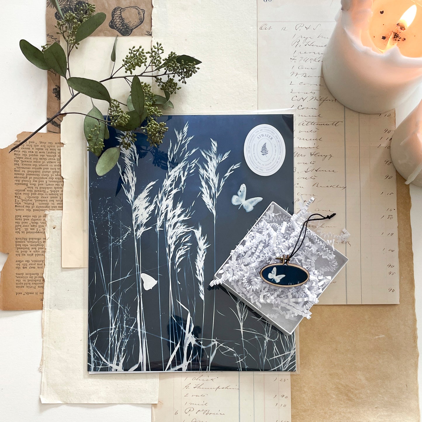 Butterfly Box