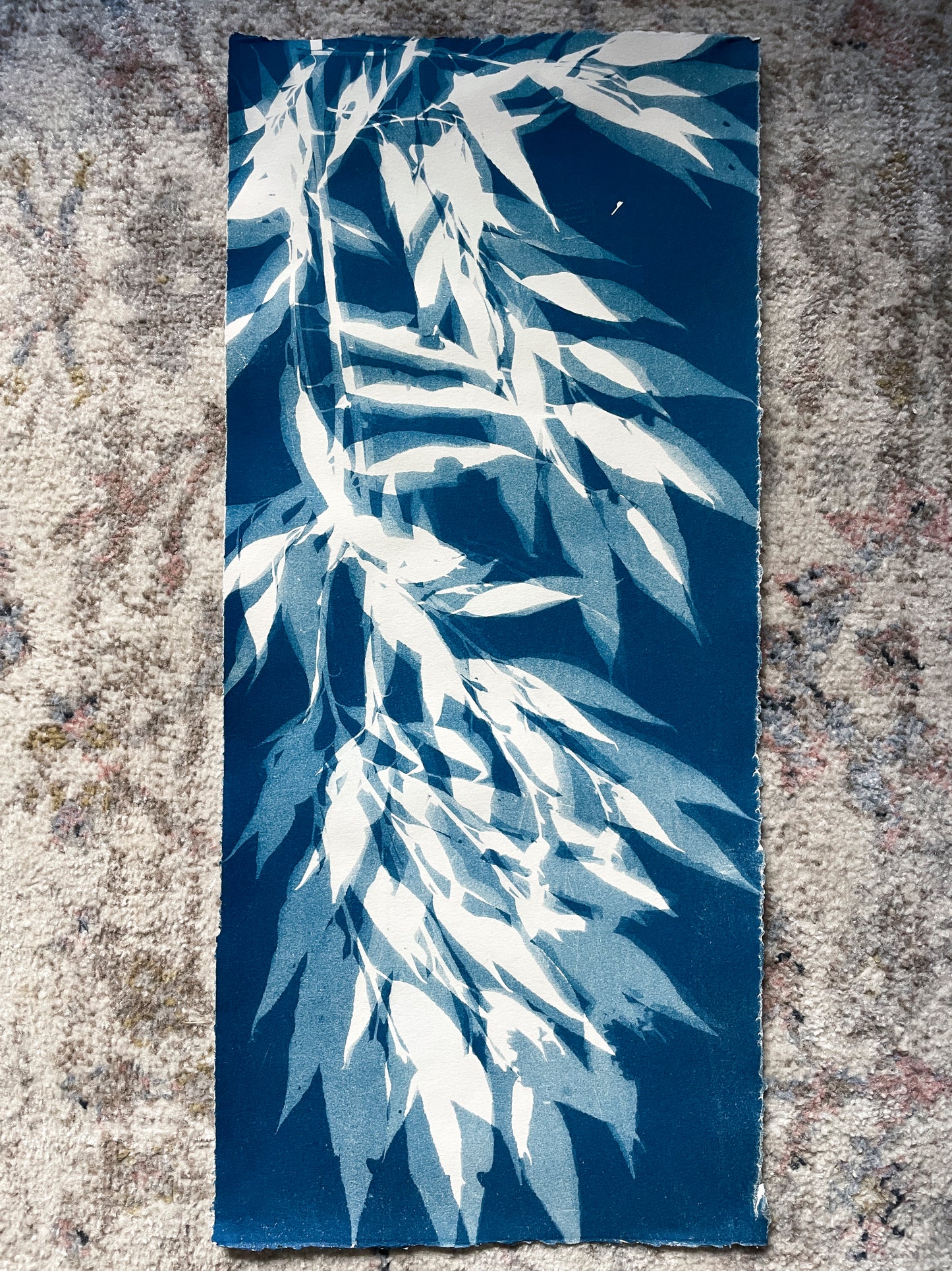 Weeping Willow no. 2