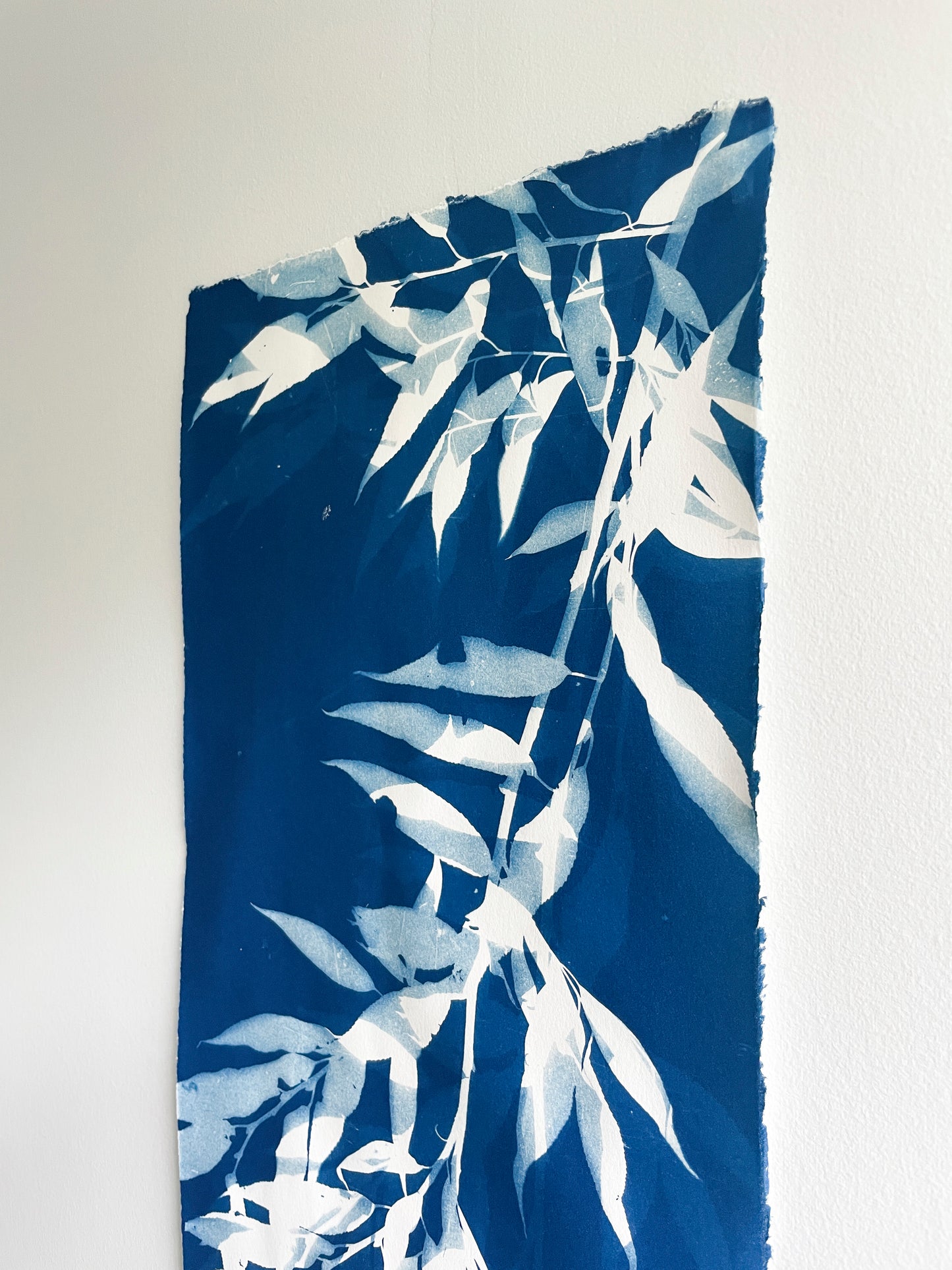 Weeping Willow no. 1