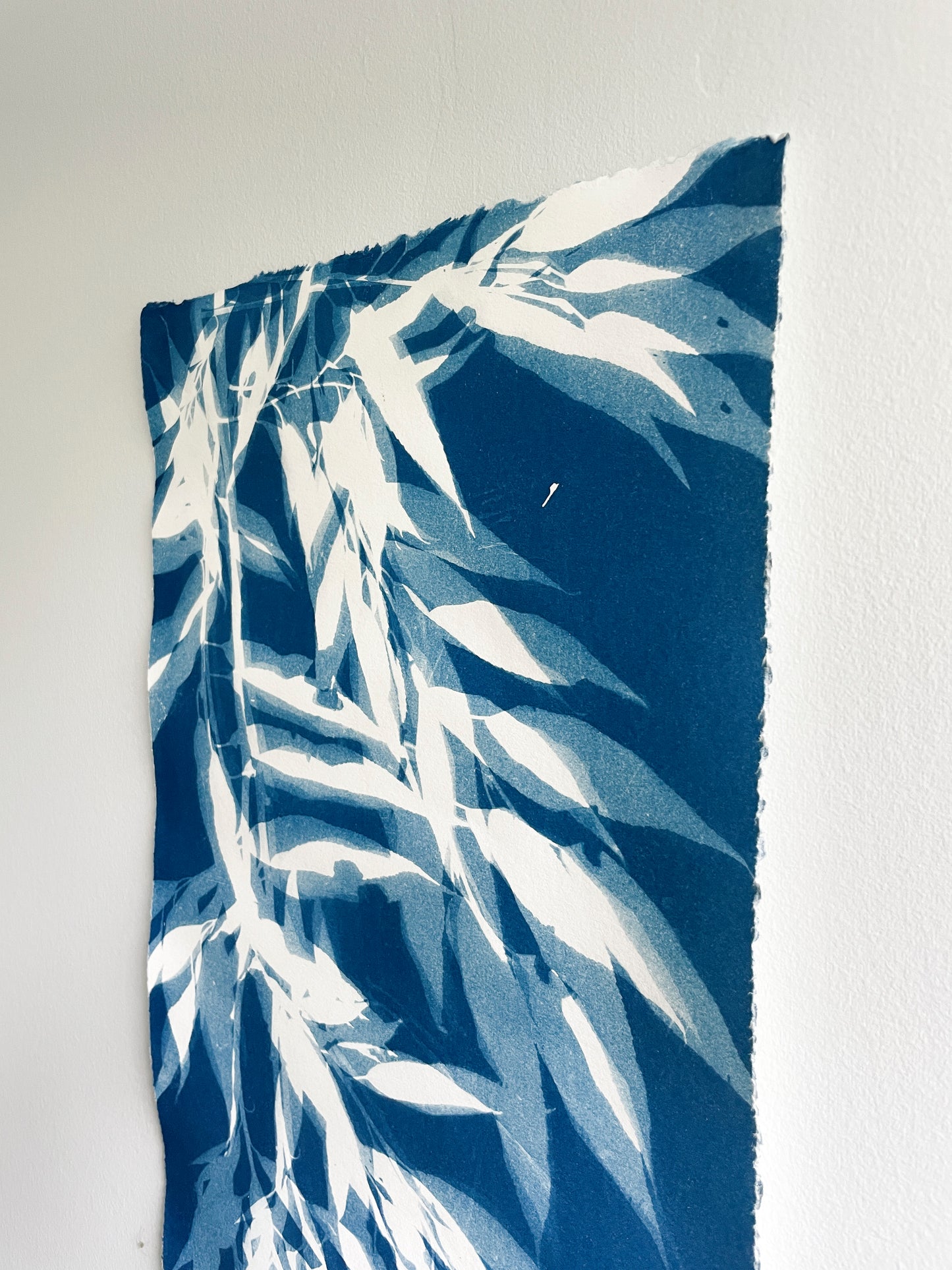 Weeping Willow no. 2