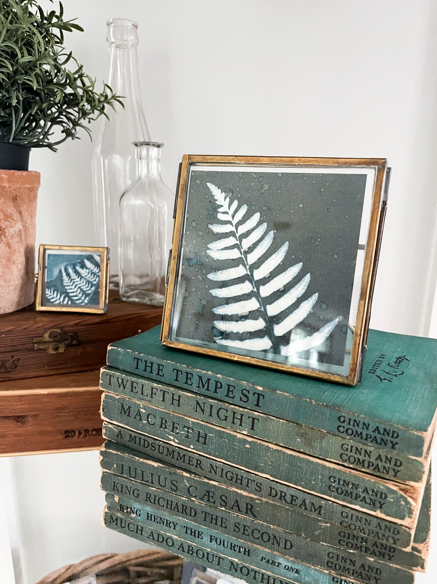 Fern 1 - Framed Tabletop Mini