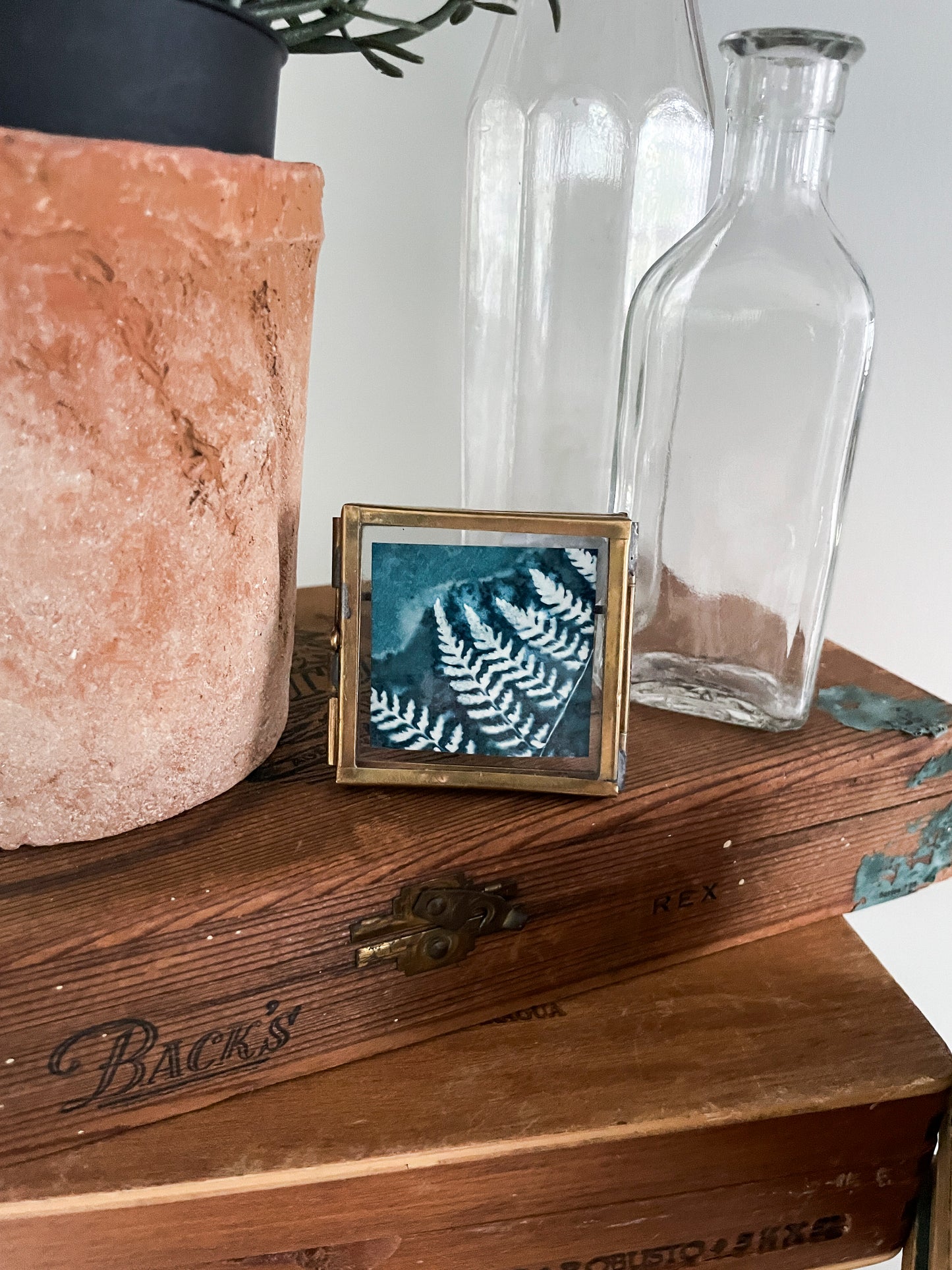 Fern - Framed Tabletop Mini Mini