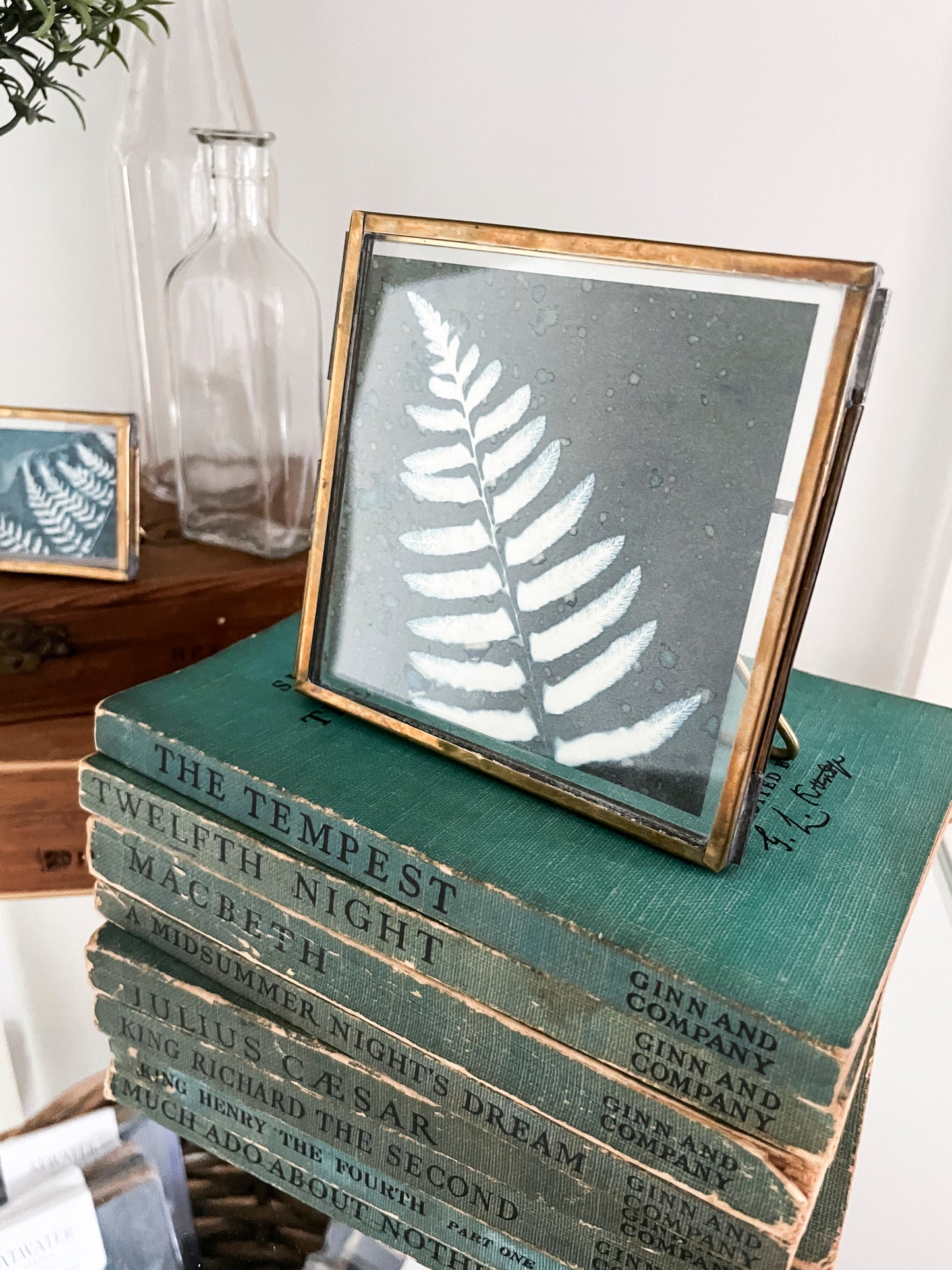 Fern 1 - Framed Tabletop Mini