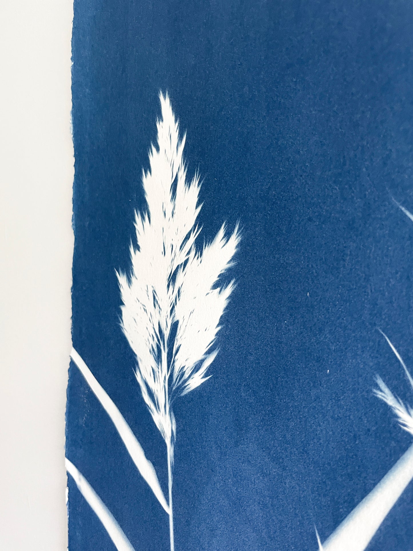Breeze through the Wetlands