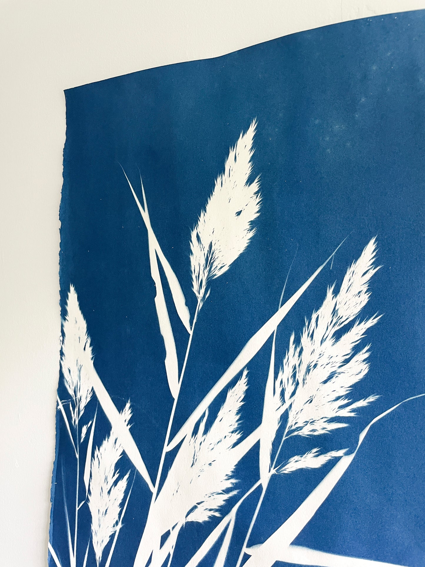 Breeze through the Wetlands no. 2