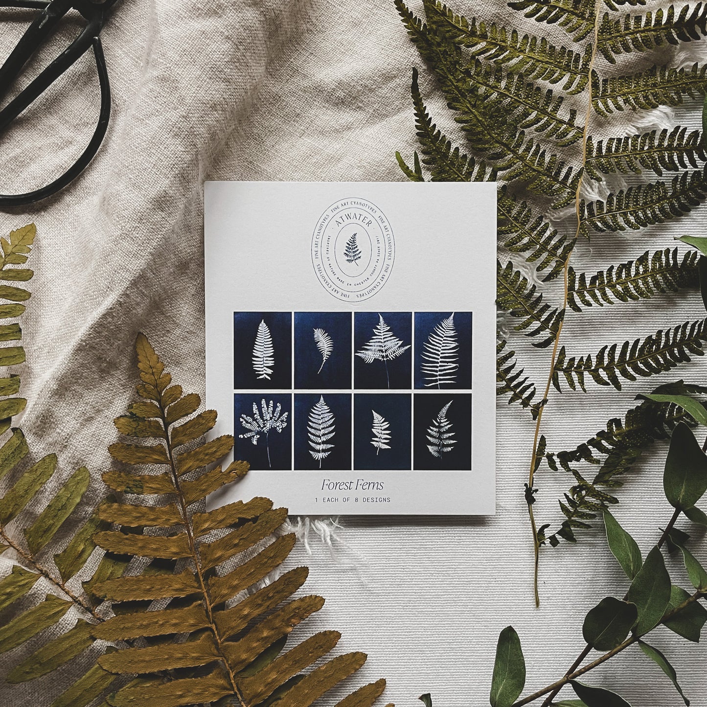 Ferns Boxed Set - Greeting Cards