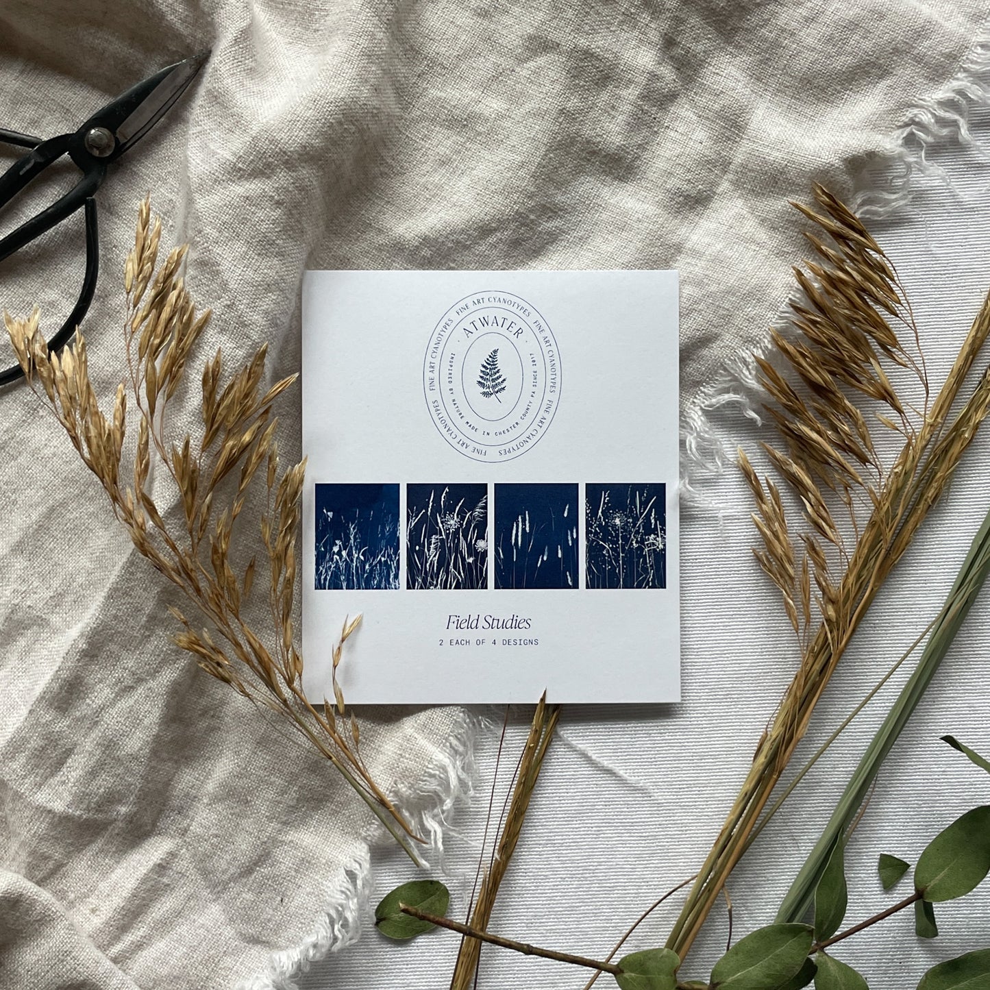 Field Series Boxed Set - Greeting Cards