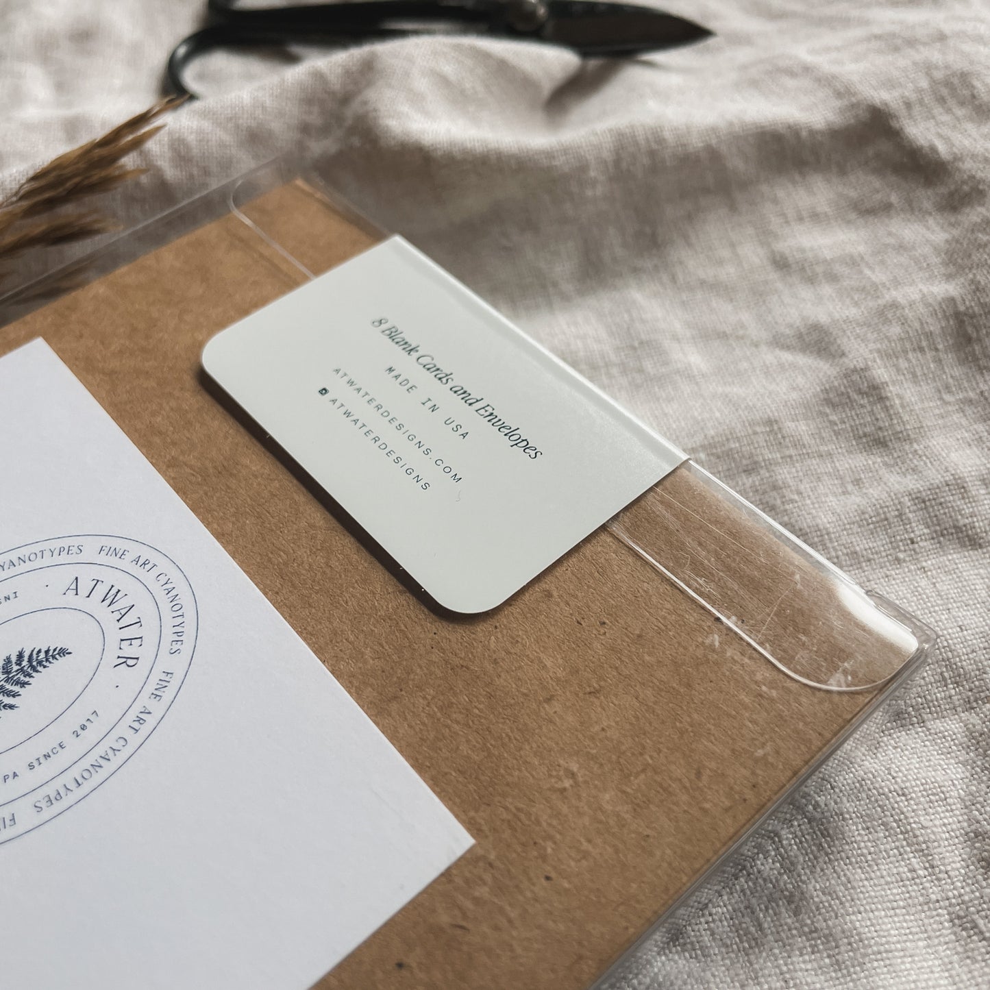 Ferns Boxed Set - Greeting Cards
