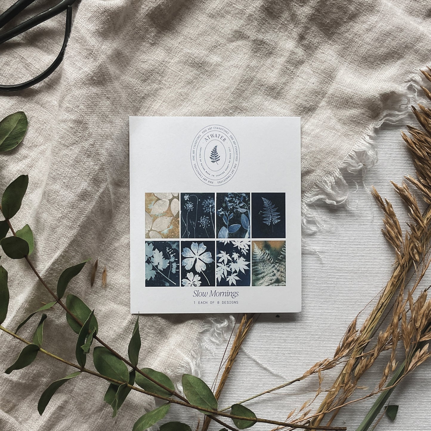 Slow Mornings Boxed Set - Greeting Cards