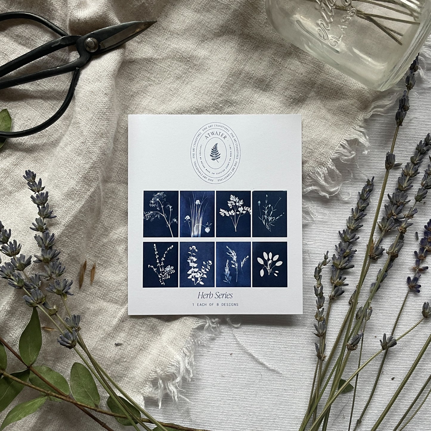 Herbs Boxed Set - Greeting Cards