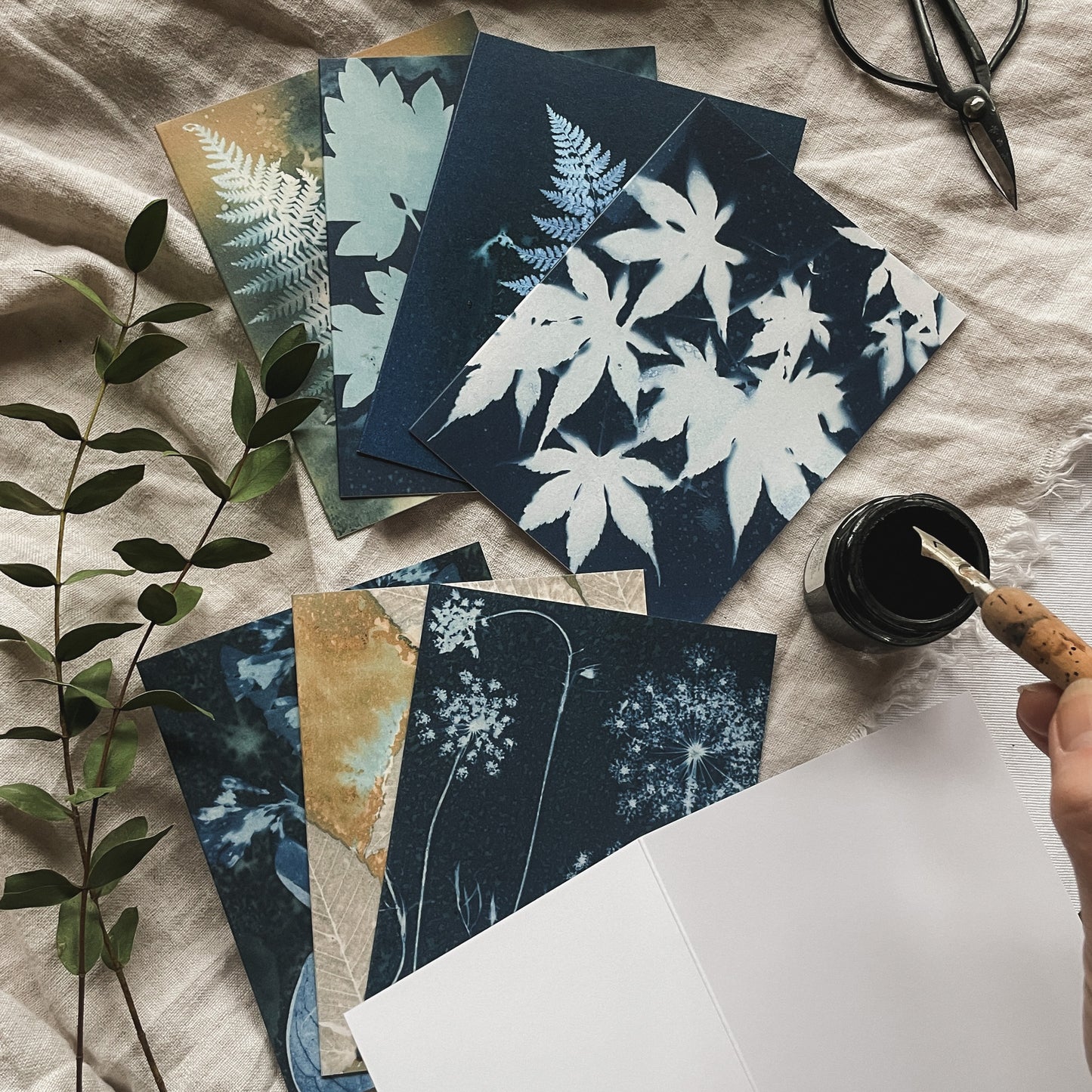Slow Mornings Boxed Set - Greeting Cards