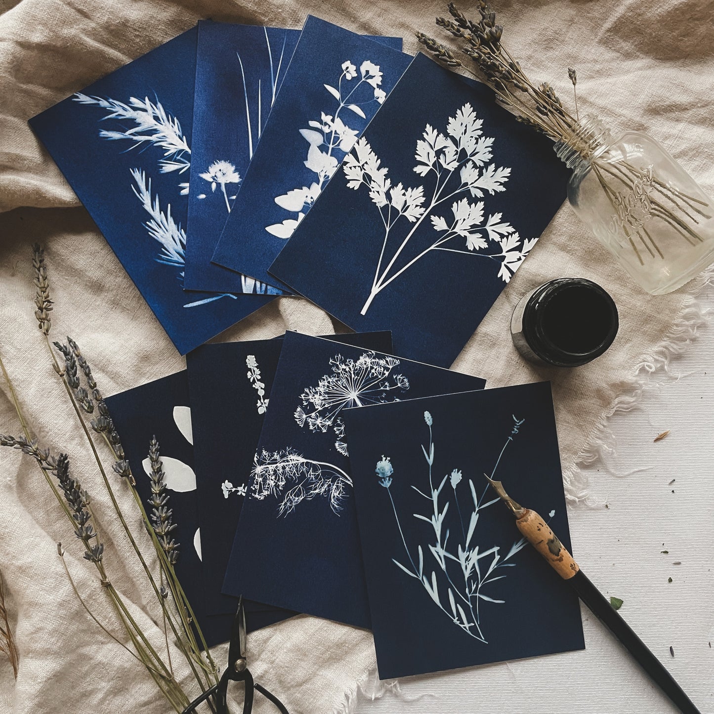 Herbs Boxed Set - Greeting Cards