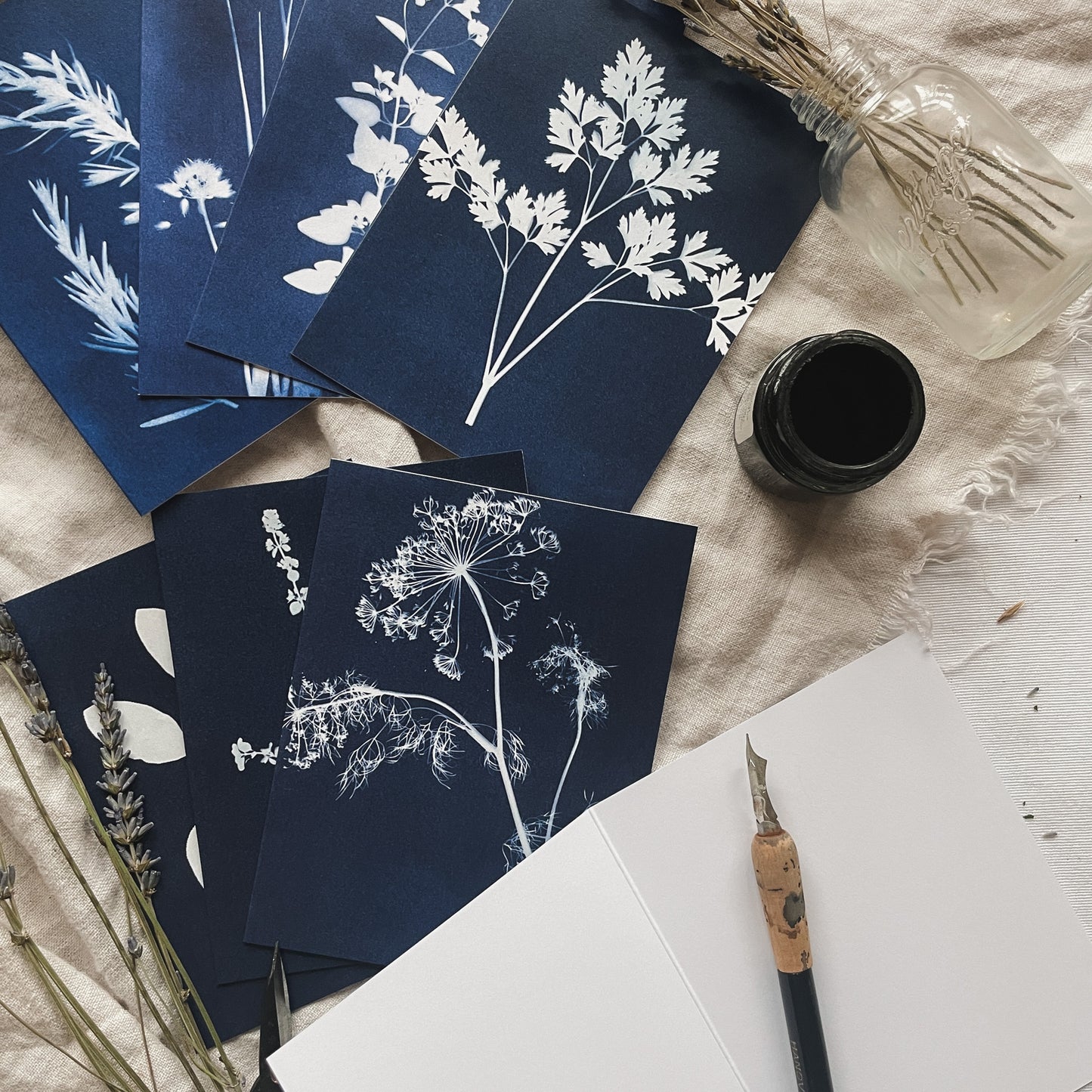 Herbs Boxed Set - Greeting Cards