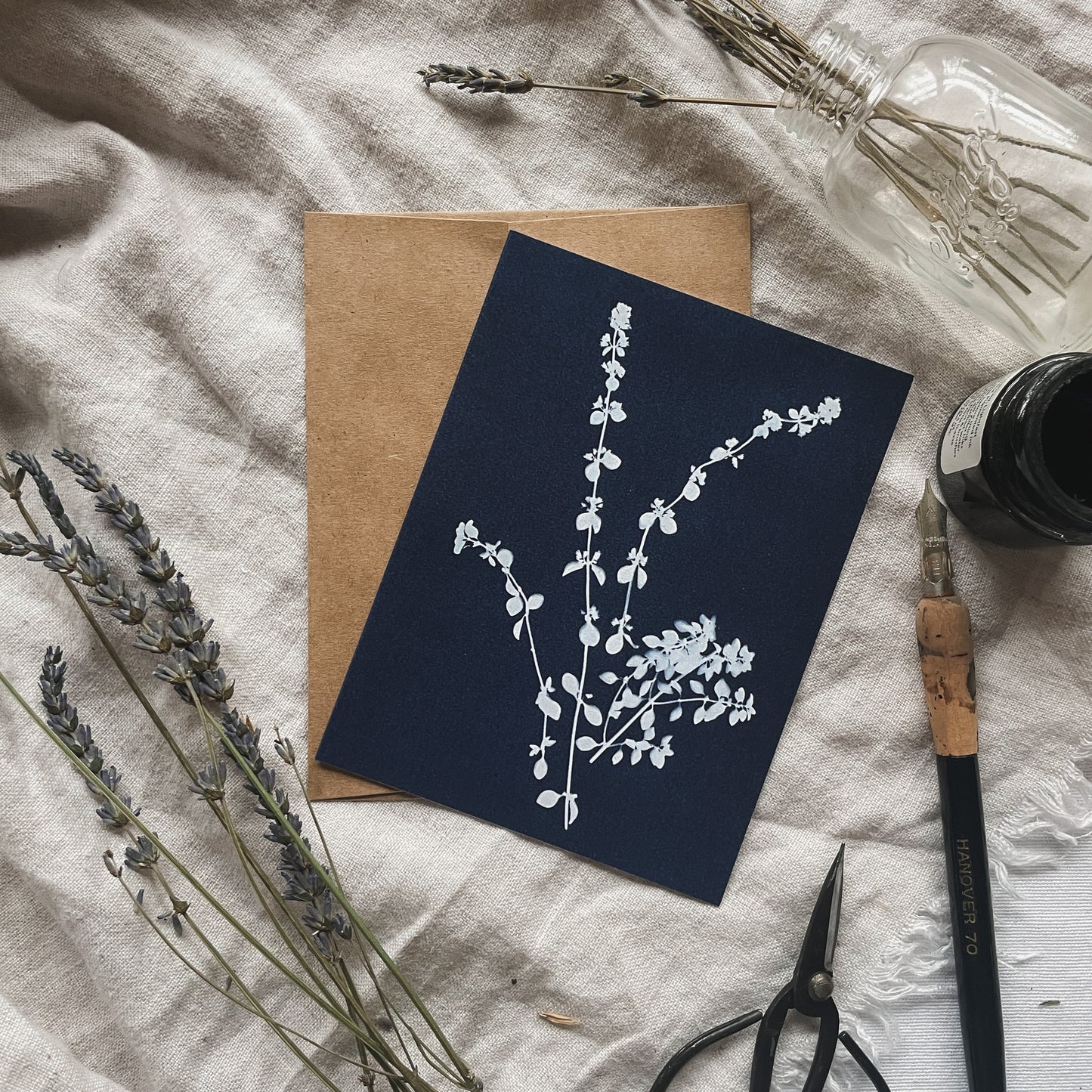 Herbs Boxed Set - Greeting Cards