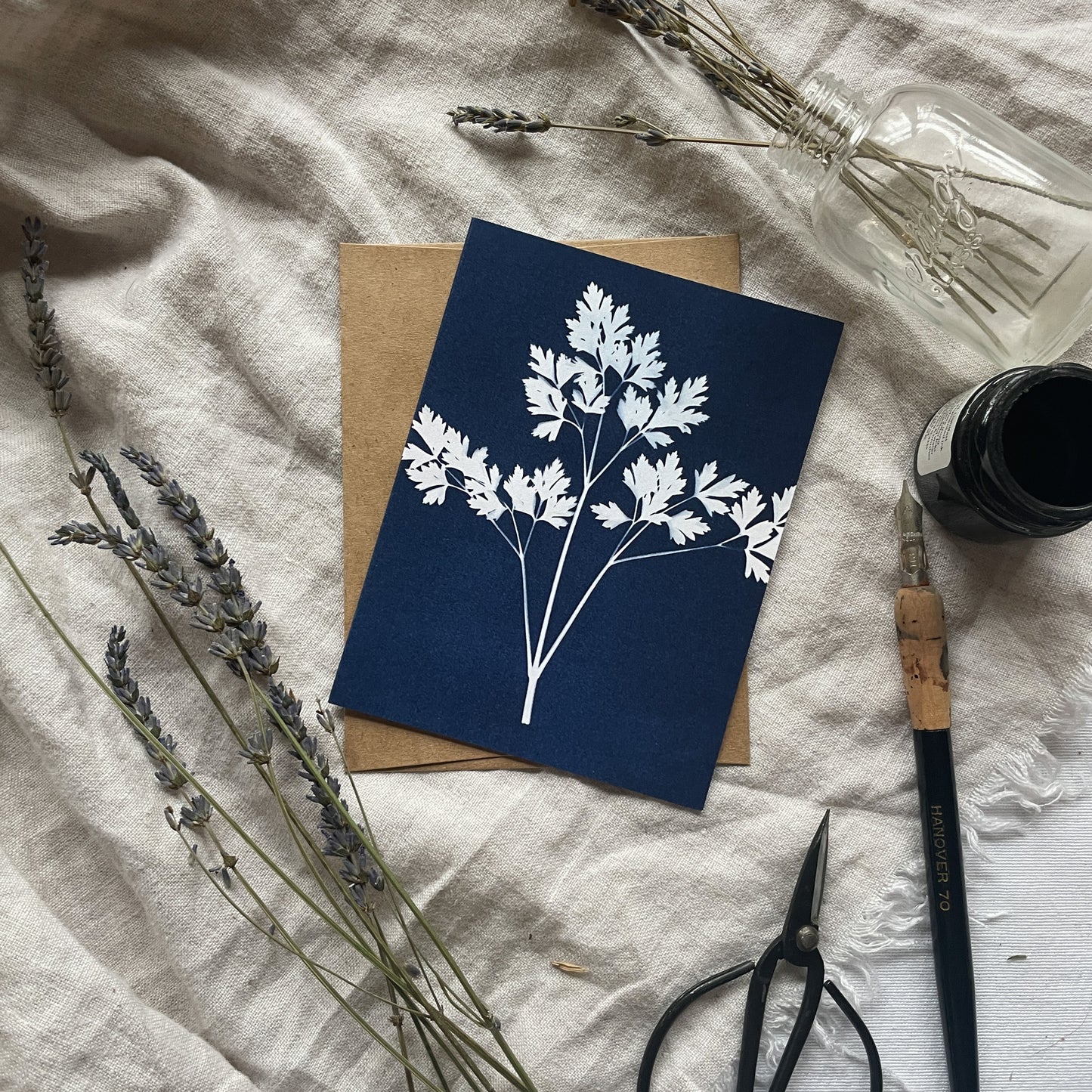 Herbs Boxed Set - Greeting Cards