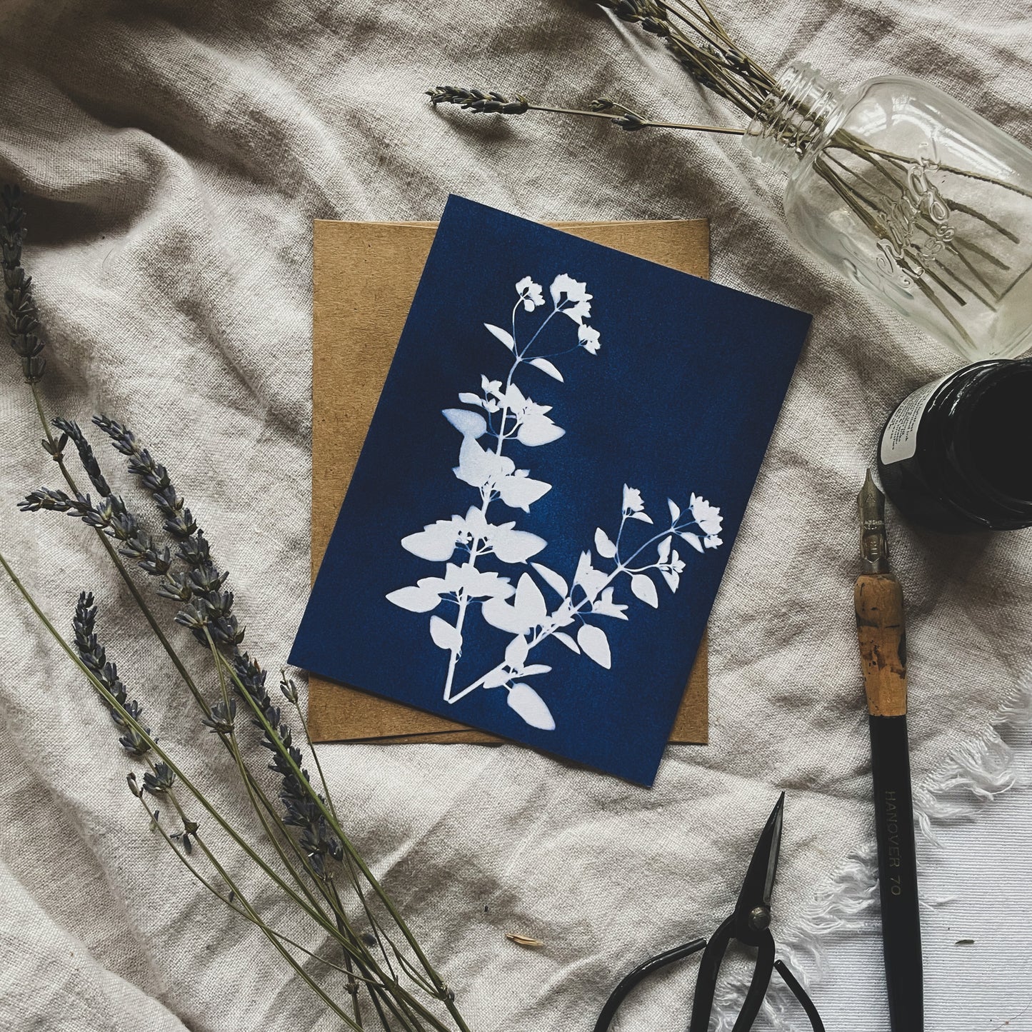 Herbs Boxed Set - Greeting Cards