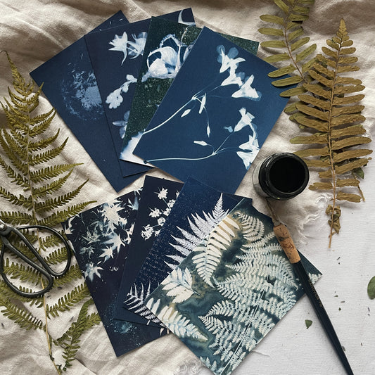 Under the Sun Boxed Set - Greeting Cards