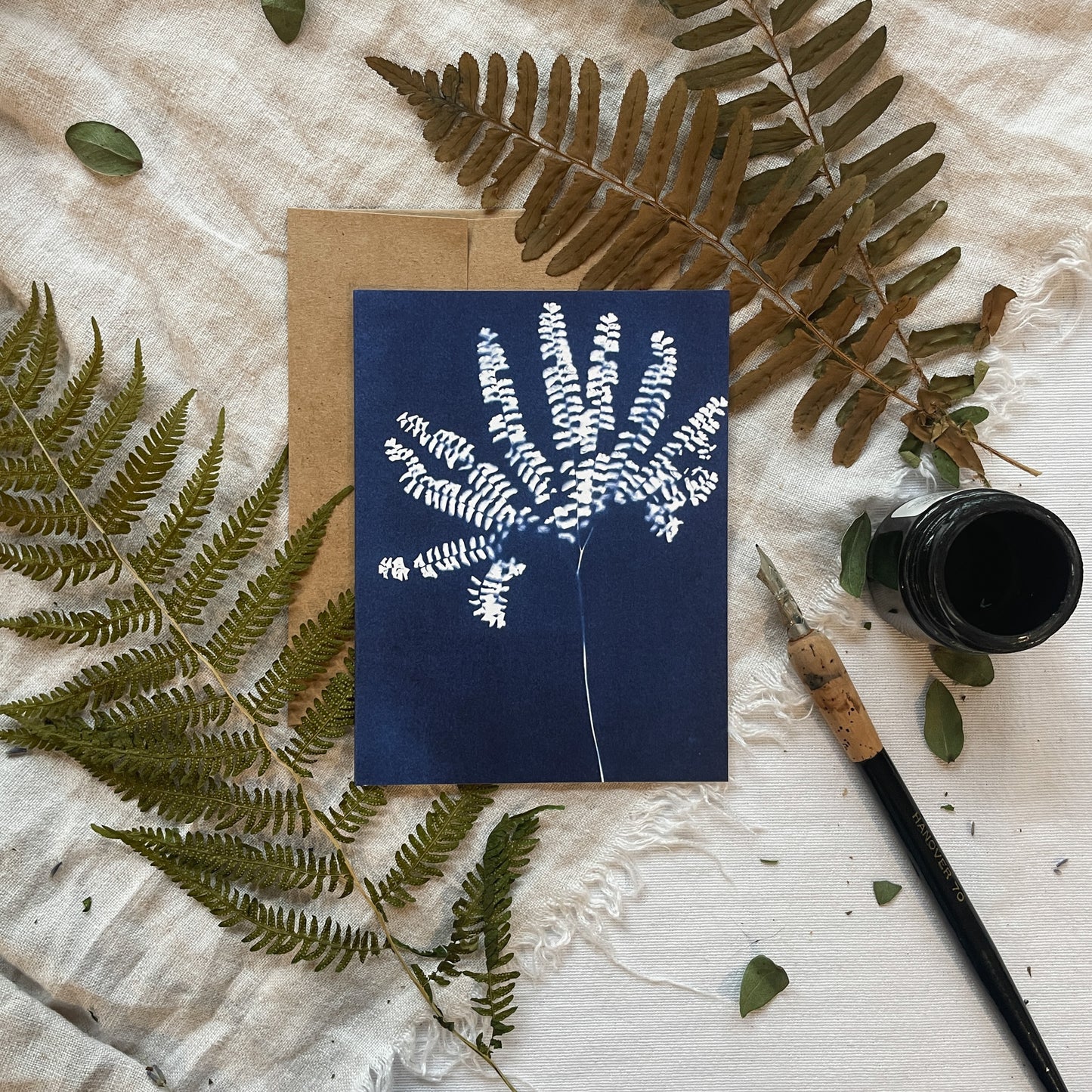 Ferns Boxed Set - Greeting Cards