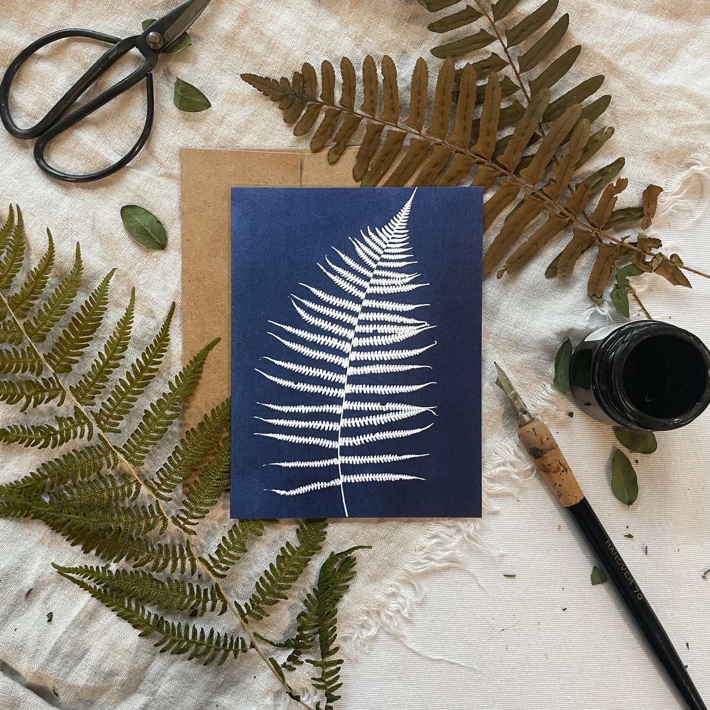 Ferns Boxed Set - Greeting Cards