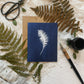Ferns Boxed Set - Greeting Cards