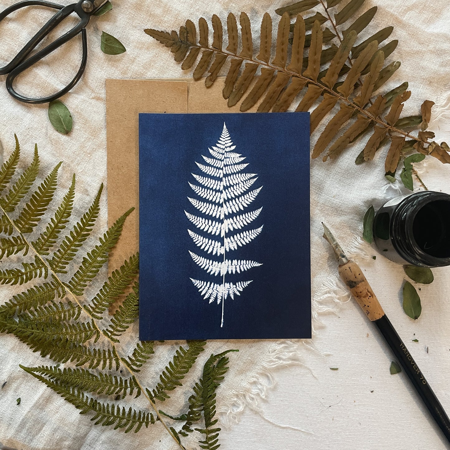 Ferns Boxed Set - Greeting Cards