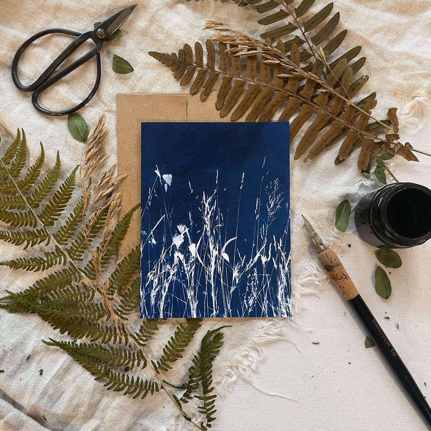 Field Series Boxed Set - Greeting Cards