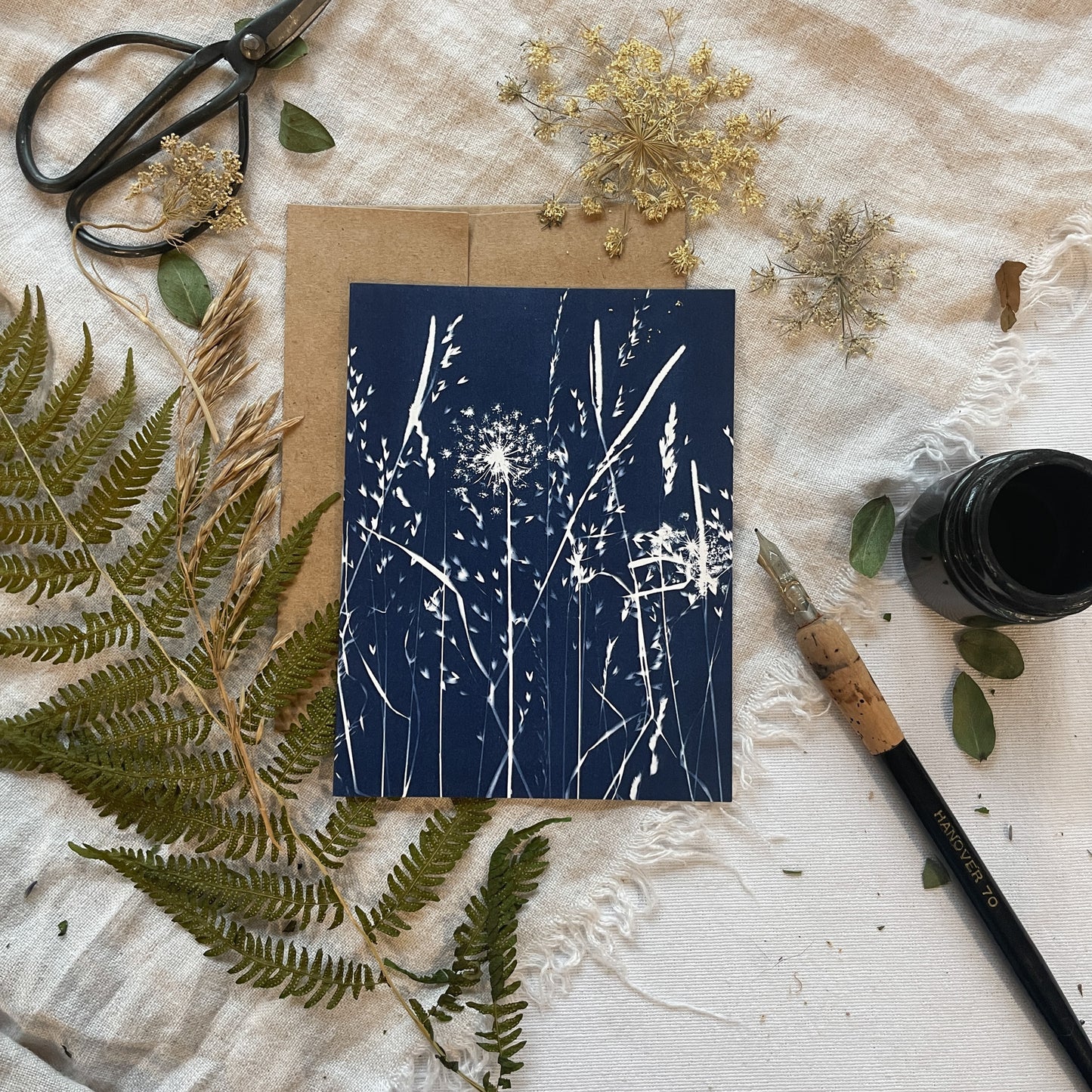 Field Series Boxed Set - Greeting Cards