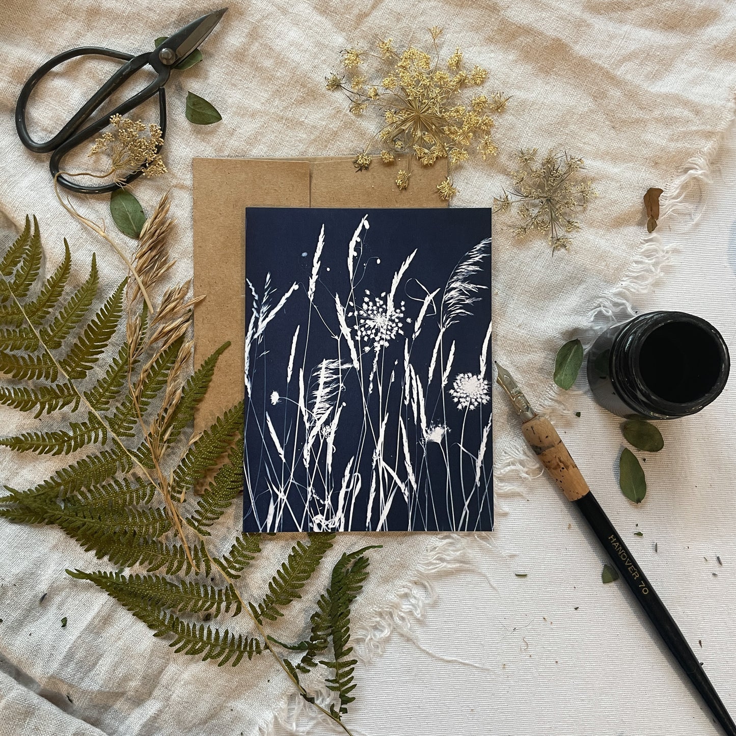 Field Series Boxed Set - Greeting Cards