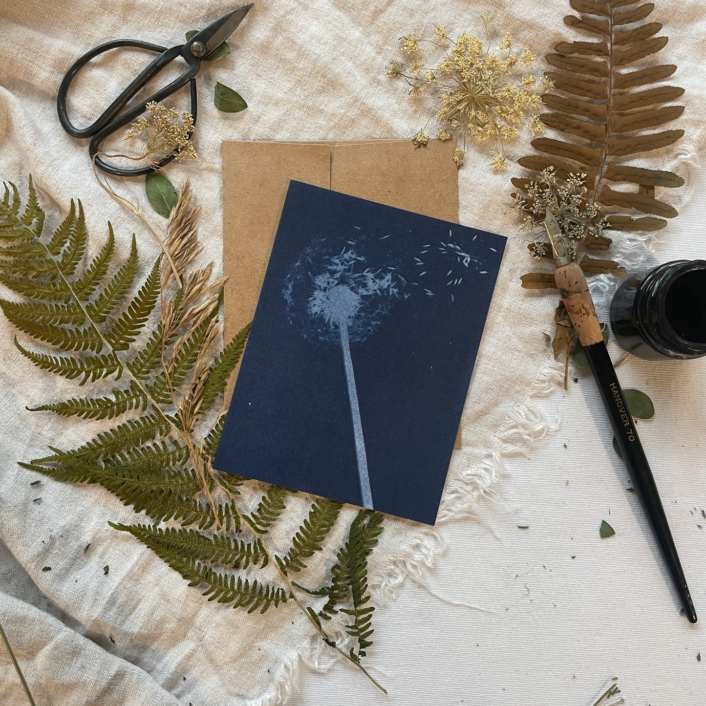 Under the Sun Boxed Set - Greeting Cards