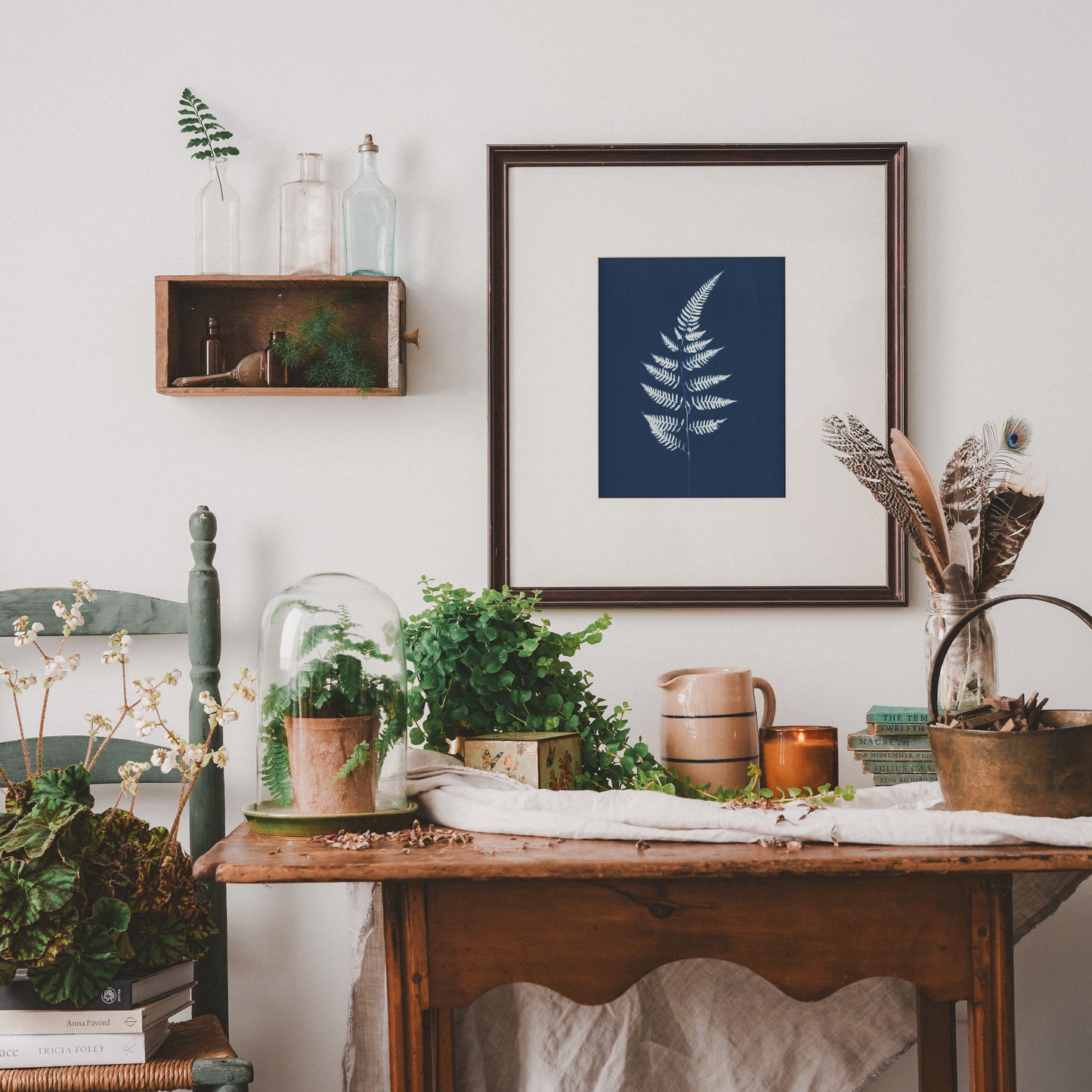 Fern