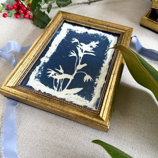 Willow Springs Specimens 3 - Gold Framed Original