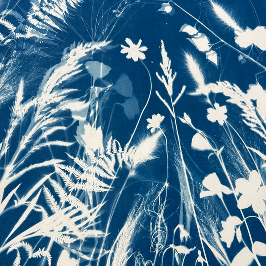 Enveloped in the Summer no. 2 - 22" x 22" - UNFRAMED