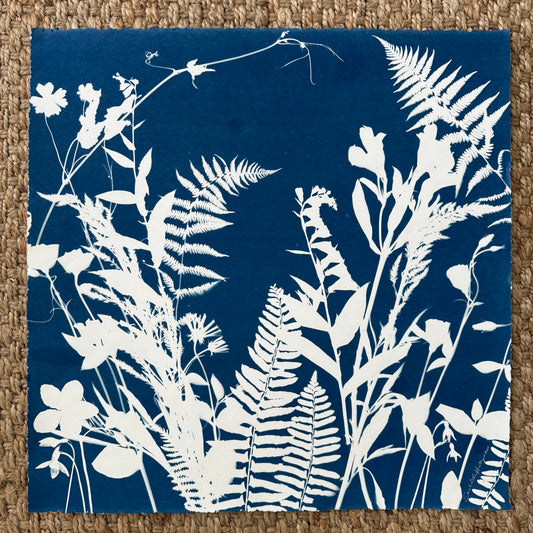 Enveloped in the Summer no. 1 - FRAMED