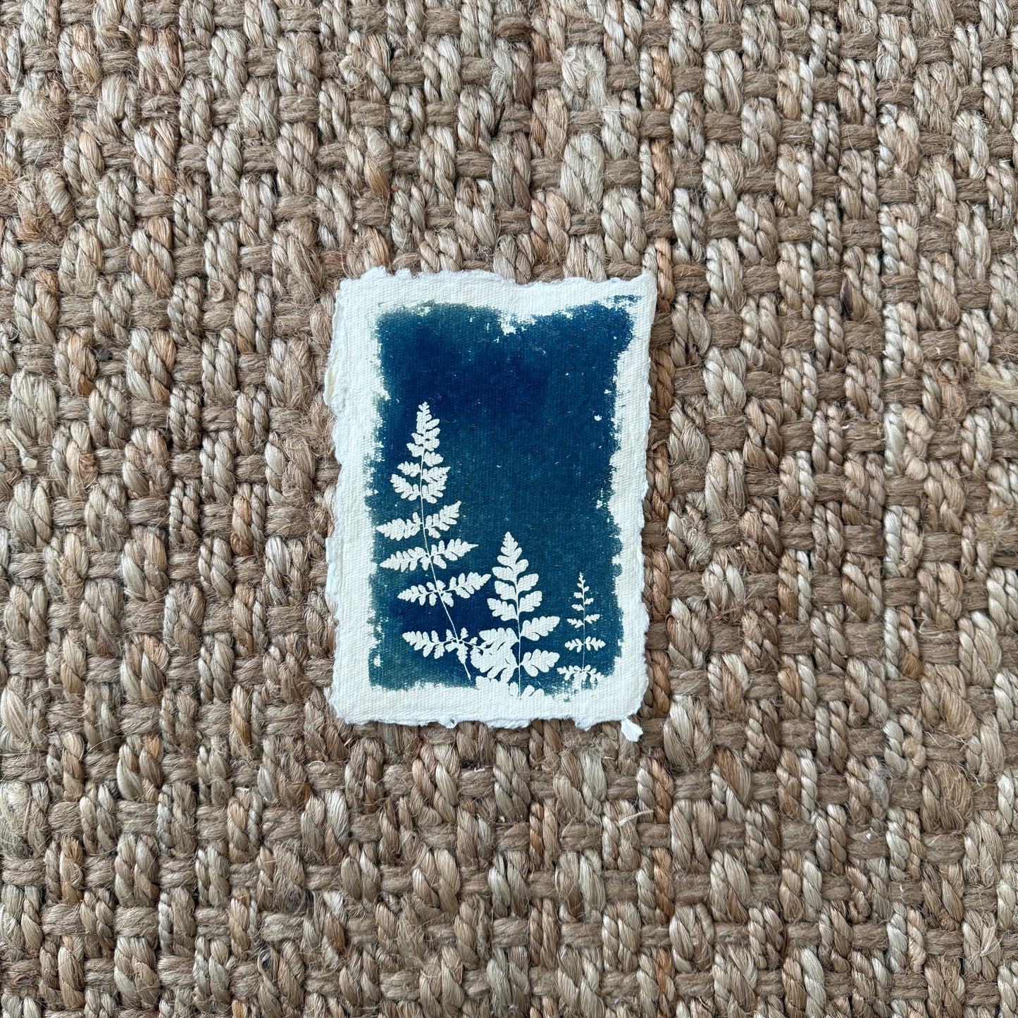 Ferns (on handmade paper) - 5" x 7" - UNFRAMED