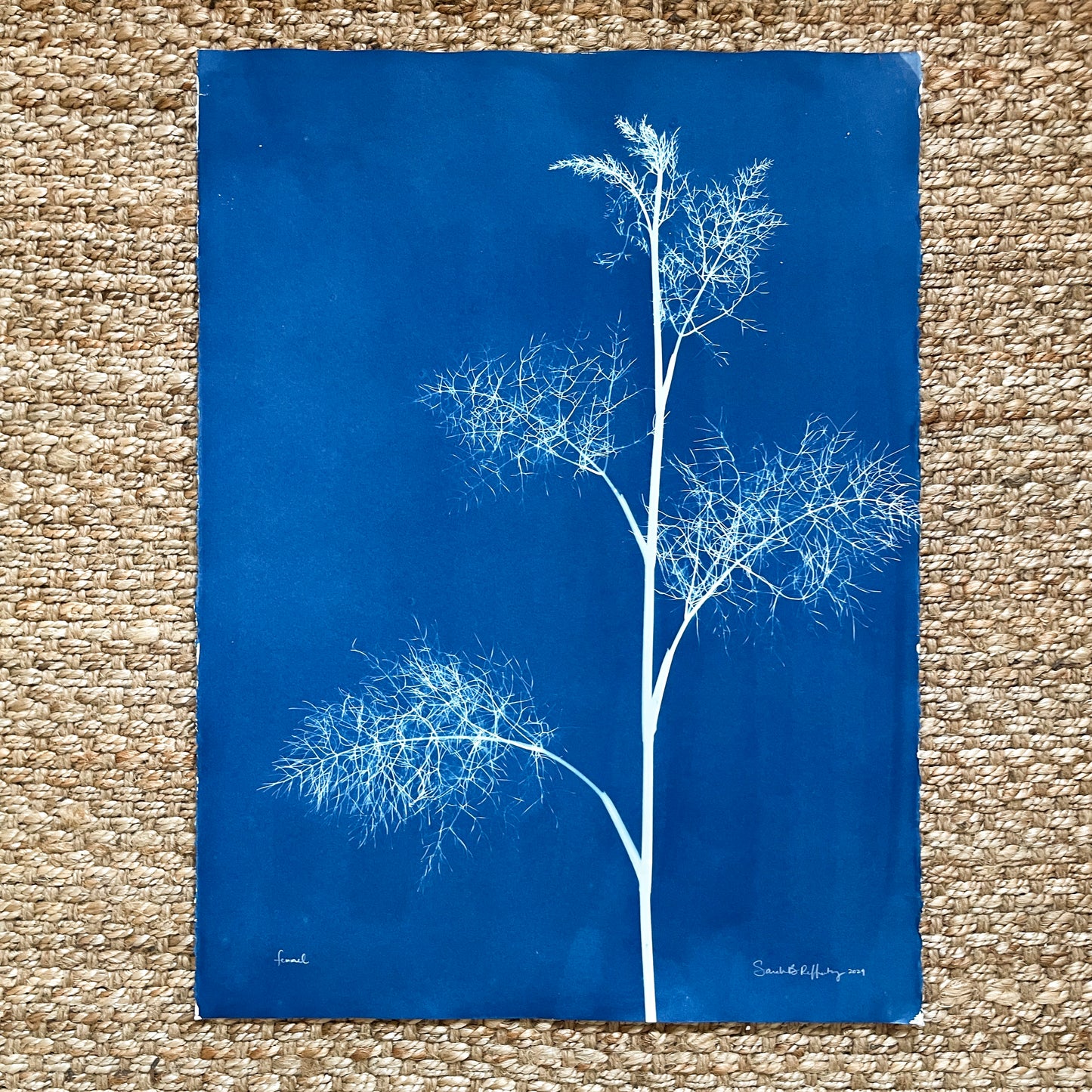 Fennel - 22" x 30" - UNFRAMED